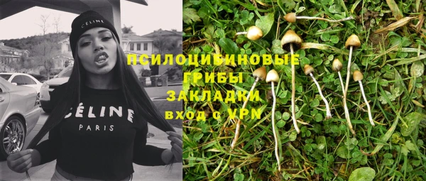 прущая мука Алзамай