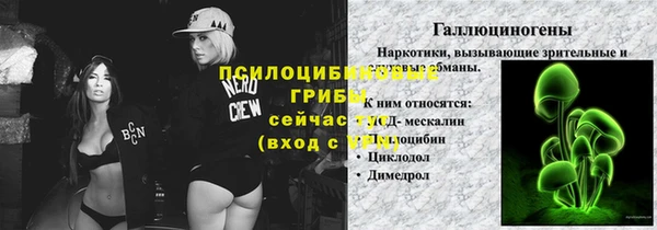 apvp Алексин