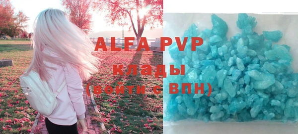 индика Армянск