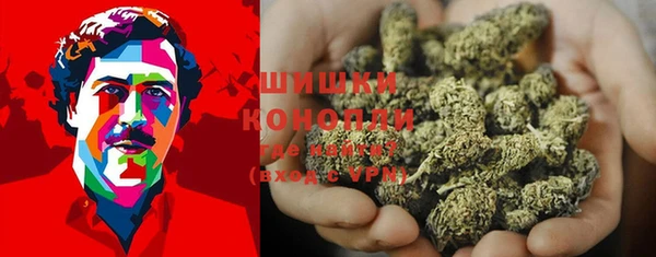 прущие крисы Аркадак